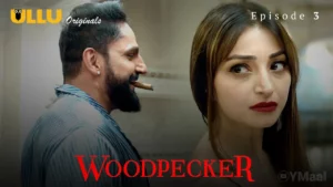 Thumbnail and Poster of the Woodpecker Episode 3 Video