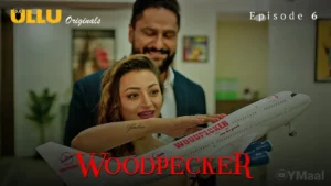 Thumbnail and Poster of the Woodpecker Episode 6 Video