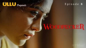 Thumbnail and Poster of the Woodpecker Episode 8 Video